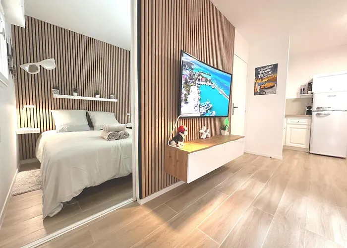 Lecactus Avec Terrasse Au Coeur De Ste-maxime Sainte-Maxime