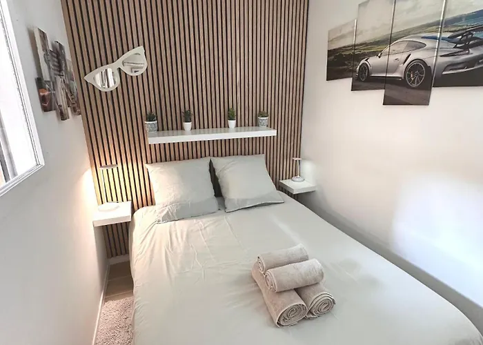 Lecactus Avec Terrasse Au Coeur De Ste-maxime *