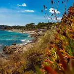 Apartment Nouveaute-charmant Lecactus Avec Terrasse Au Coeur De Ste-maxime *