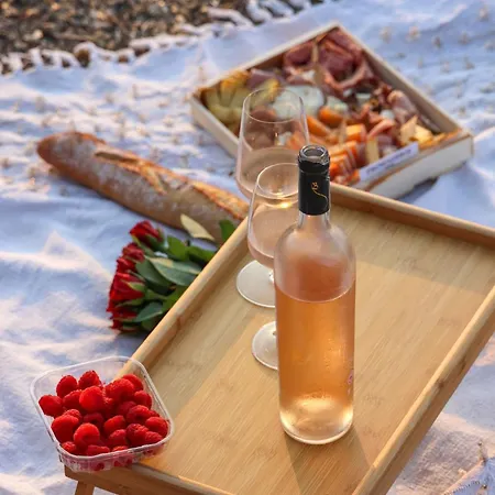 Nouveaute-charmant Lecactus Avec Terrasse Au Coeur De Ste-maxime Apartment