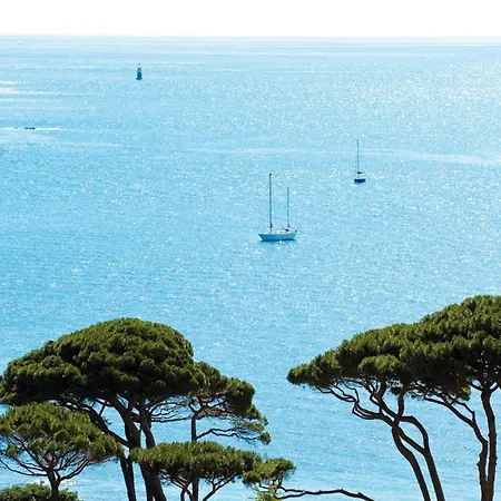 Nouveaute-charmant Lecactus Avec Terrasse Au Coeur De Ste-maxime * Sainte-Maxime