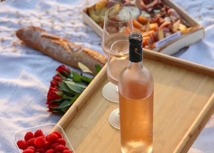 Nouveaute-charmant Lecactus Avec Terrasse Au Coeur De Ste-maxime Apartamento