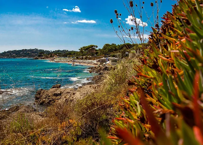Apartamento Nouveaute-charmant Lecactus Avec Terrasse Au Coeur De Ste-maxime *